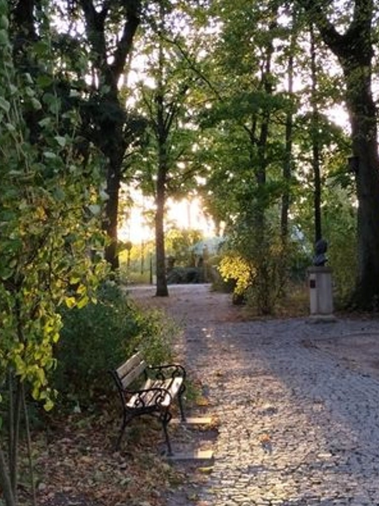 Zdjęcie parku ławka przy ścieżce